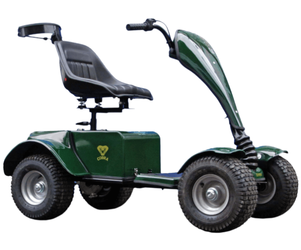 Grasshopper golf buggy battery charger 24 volt - Image 2