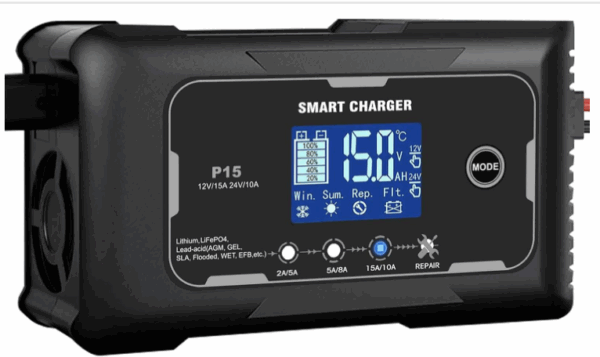 Grasshopper golf buggy battery charger 24 volt